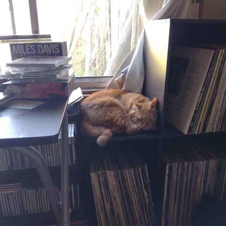 35c1dc44 09d3 44ca 96c4 8f0a9532f20b 1691928756686