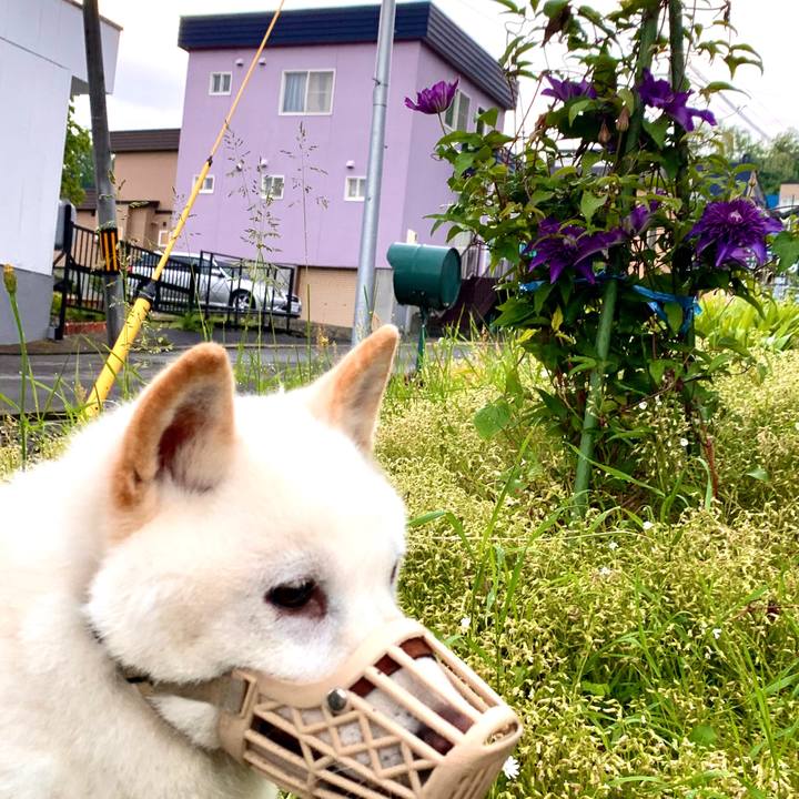 35c1eb0b f259 4b55 af8b df8c2a5ff078 1592773971531