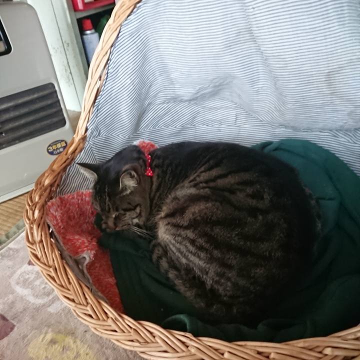 35c1ffce eaaf 42d5 b73c f30b2f98f5ed 1640568405916