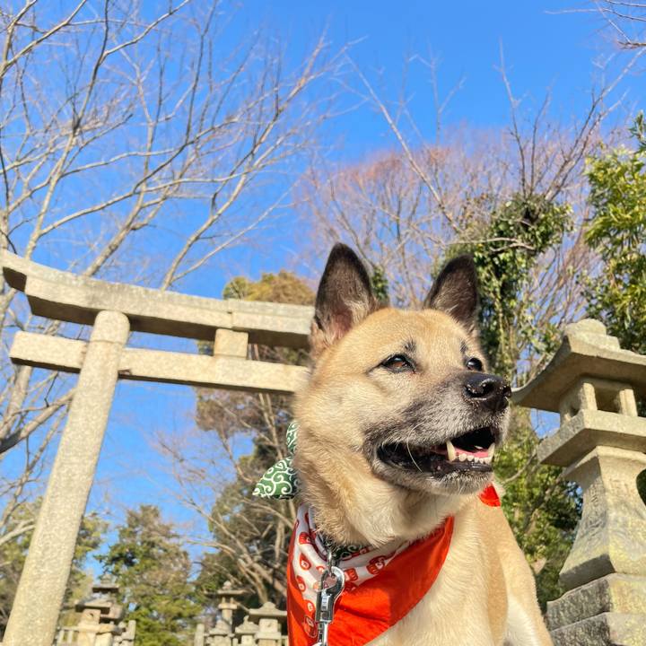 35c28ba1 1840 47c1 b68e c3c53c249d85 1672560179598