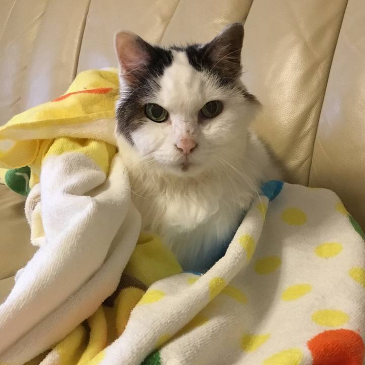 35c2a270 3487 4781 b8f2 3813c4b95e49 1573620715859