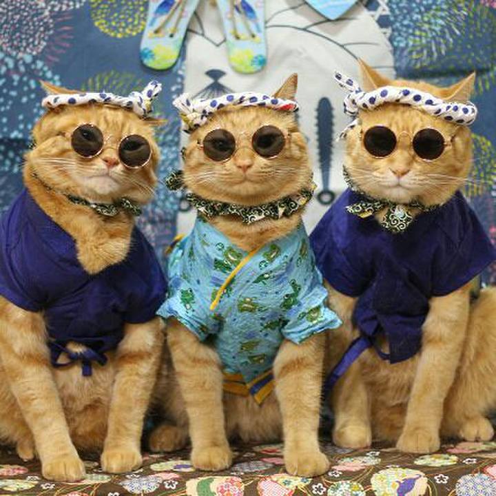 35c2b287 6624 4884 99f3 eb2023825a4f 1565710773925