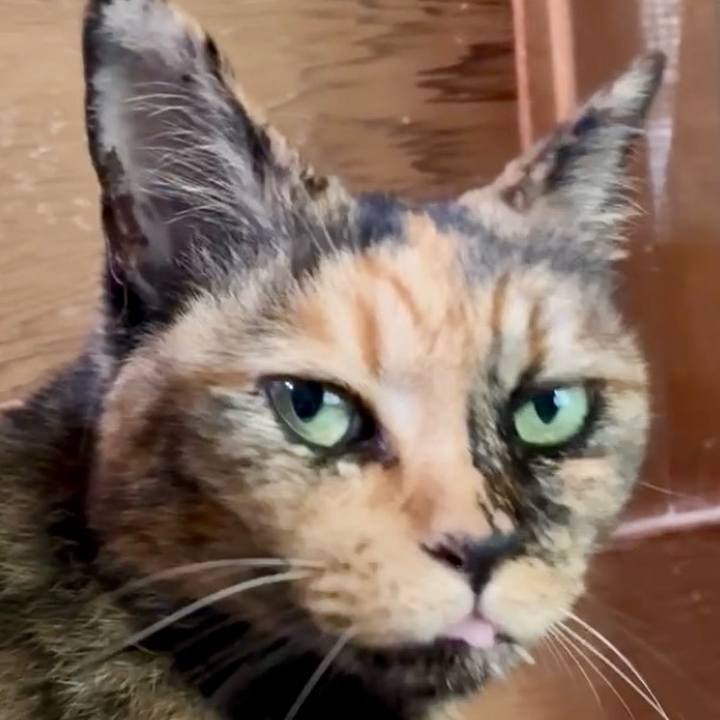 35c2b7b0 fd84 422a bb4d 1dbaa4325f7e 1752369687070