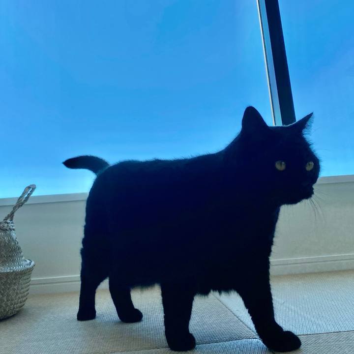 35c2f9e2 aa04 440f b272 132ee44c73fb 1632017183875