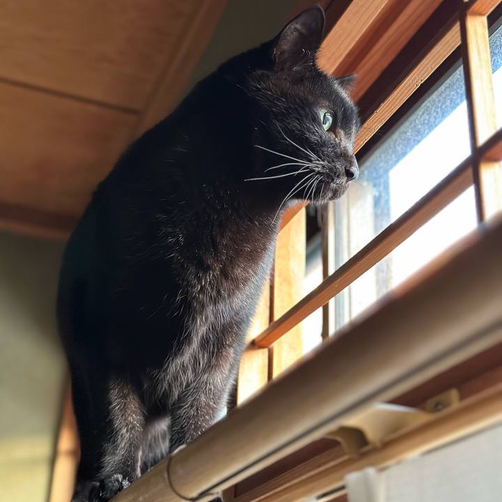 35c371aa 1aa2 4a92 a400 9482abf30904 1672098316612