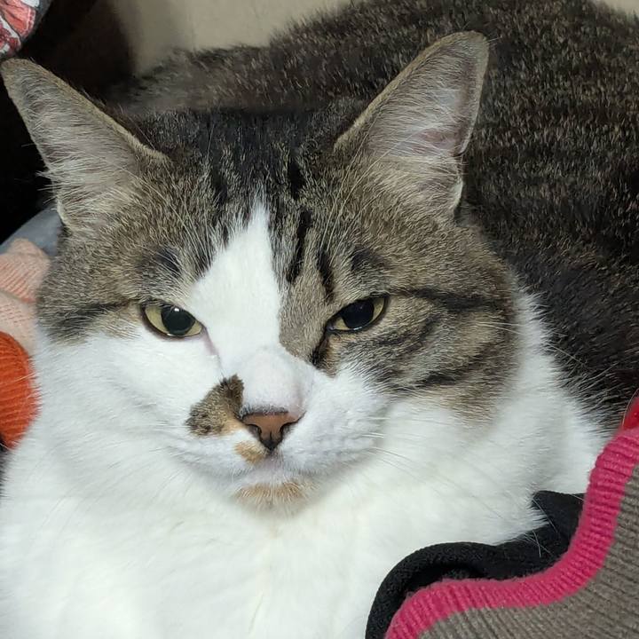 35c3afd4 4658 4345 ae0e 7a8107364856 1744755738533