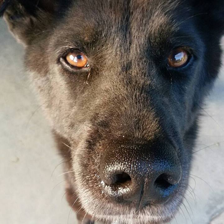 35c3b9d8 dac7 4cb0 93b7 e9b2f7e7557f 1546401606476