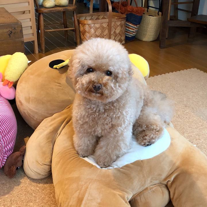 35c3c7aa b86a 40c1 88a5 5f0e74ee4ee1 1508036441313