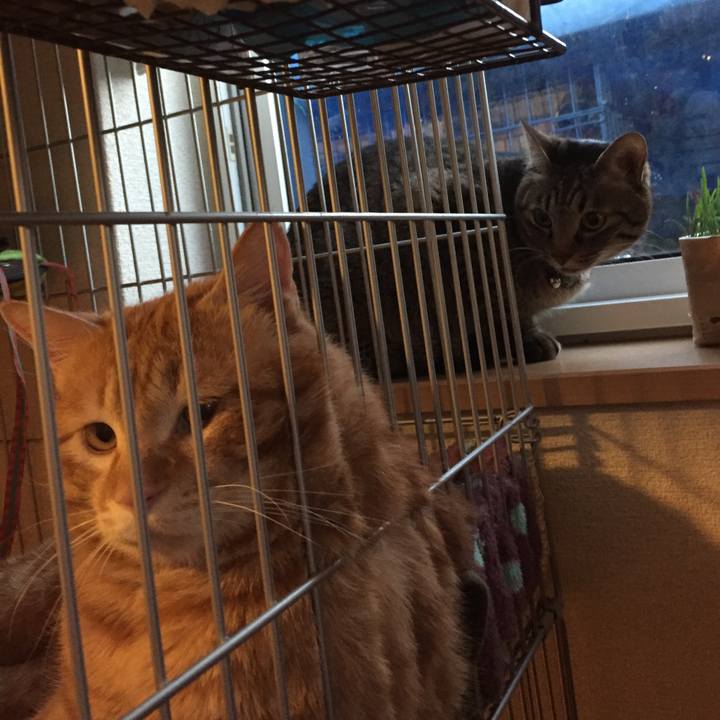 35c3f858 b9b8 4e33 9981 4edae90ac5be 1520761863976