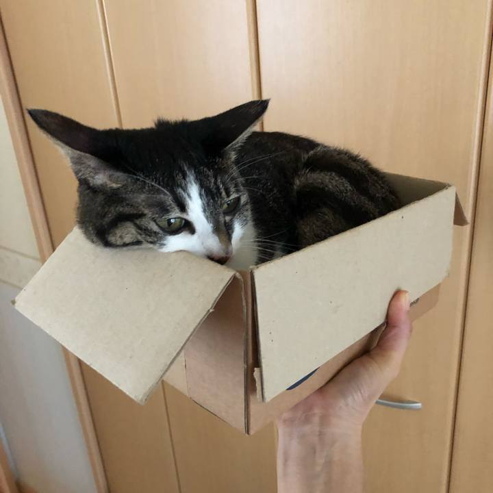 35c4130a f0a7 4ce2 ad36 ef5334a11d01 1537219837291