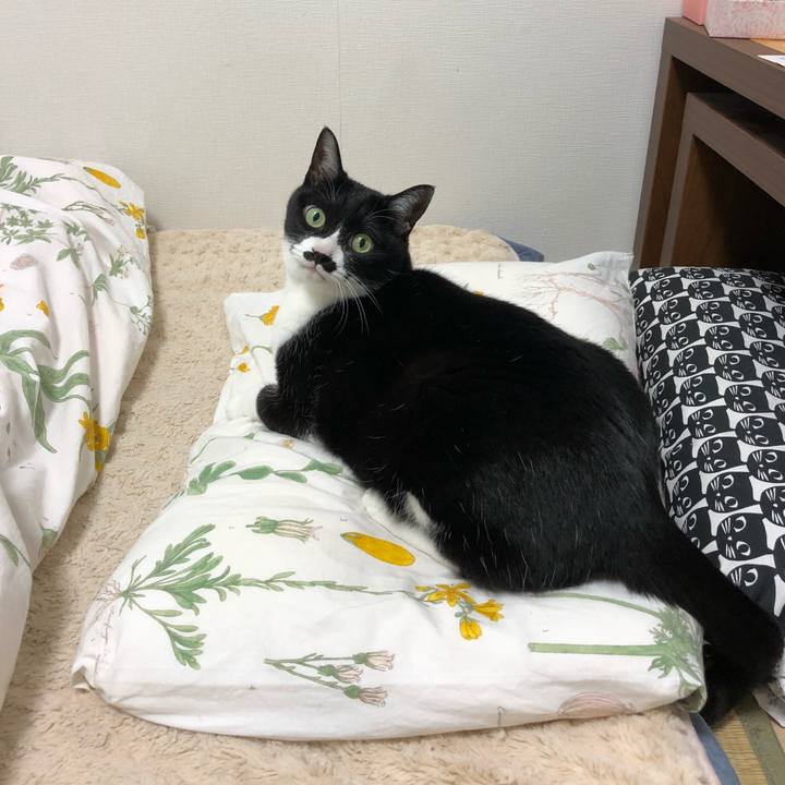 35c41b4d 1c97 4f71 bd4a f0e82fcbe58b 1516287103666