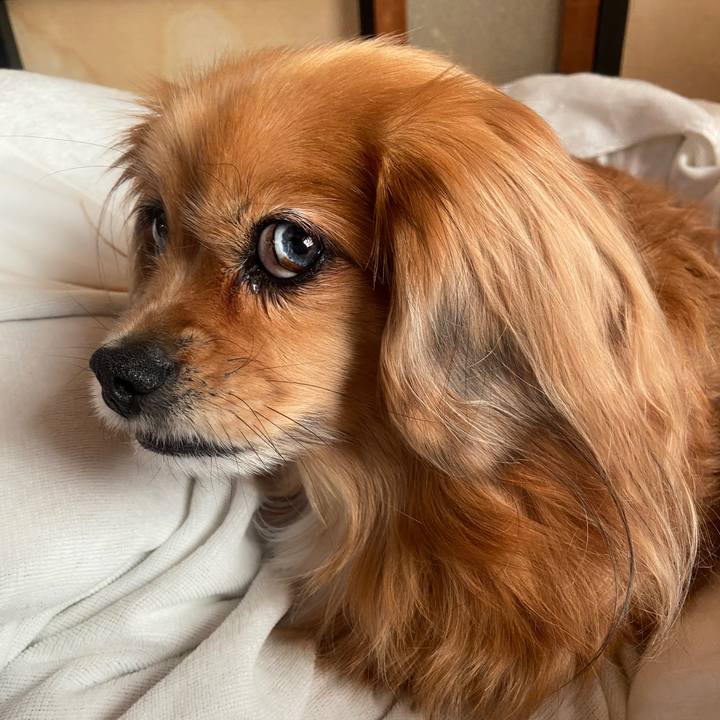 35c422c3 08e7 464b b1a2 fdbeca625801 1668642676594