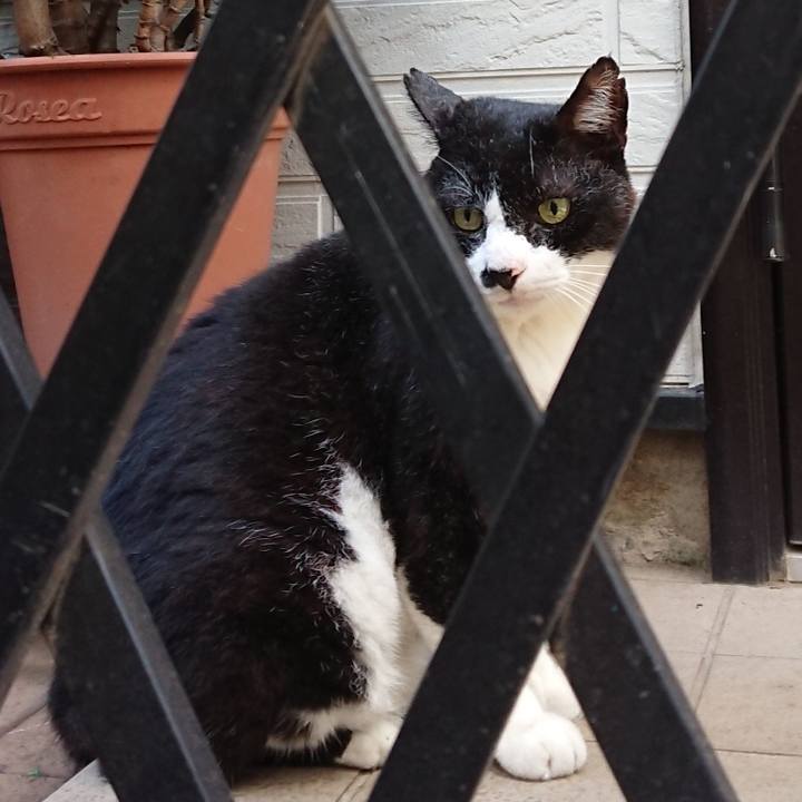 35c42562 0350 436e b983 fa389a1a70e3 1692660419398