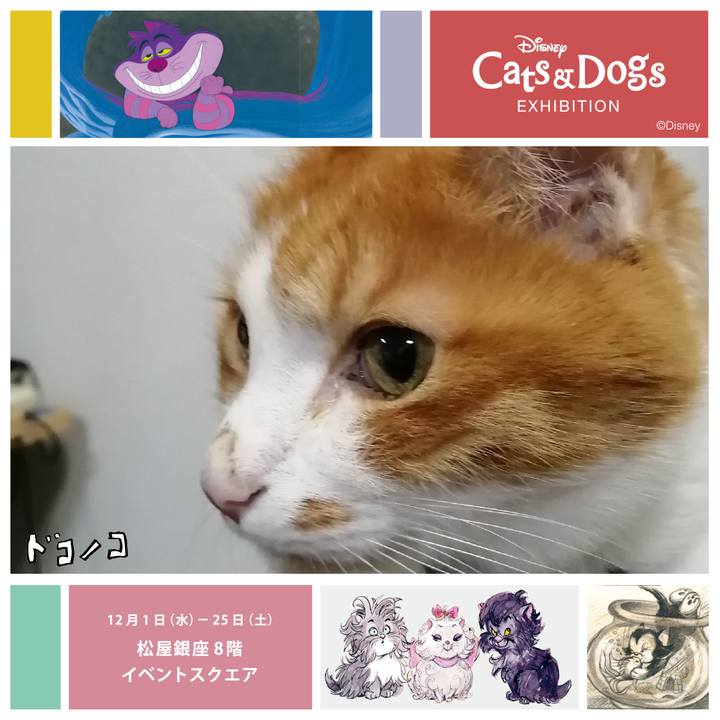 35c42e09 f288 4095 ba95 622ebce55612 1638396608896