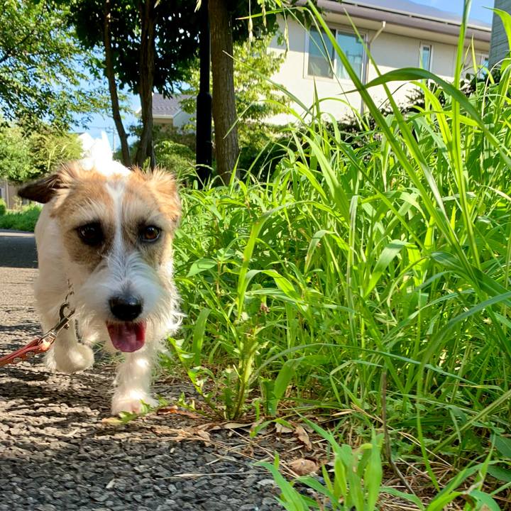 35c46a26 5521 4bcf 9d07 611f520a5b04 1627181669758