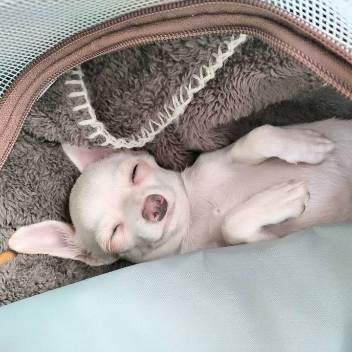 35c47c85 cafb 4a41 8a97 b592e1b84aa5 1703941500560