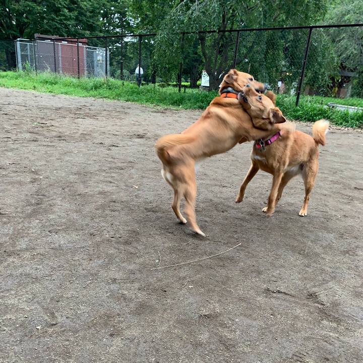 35c48a85 9ad5 4cfe 81da 9999992a052f 1562578157434