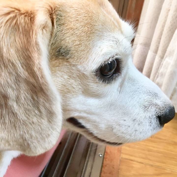 35c4a655 9e1f 44e0 a201 92dca2909e02 1558065310104