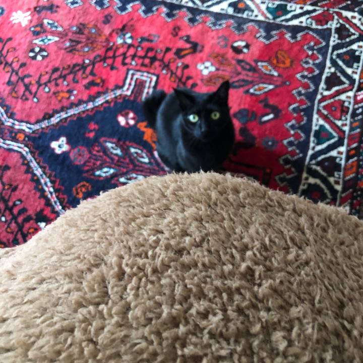 35c4e53c 62a7 4bb2 b053 f16e2a204963 1588297585131