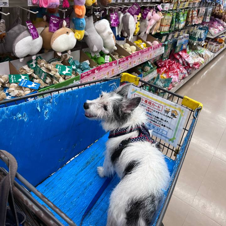 35c4fe86 13df 4db1 9b0a cc9045acd911 1661087527536