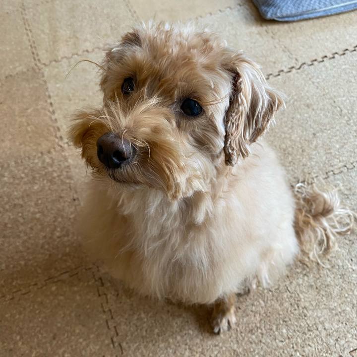 35c52268 974f 4bf0 a685 dd47b24837a0 1640403419184