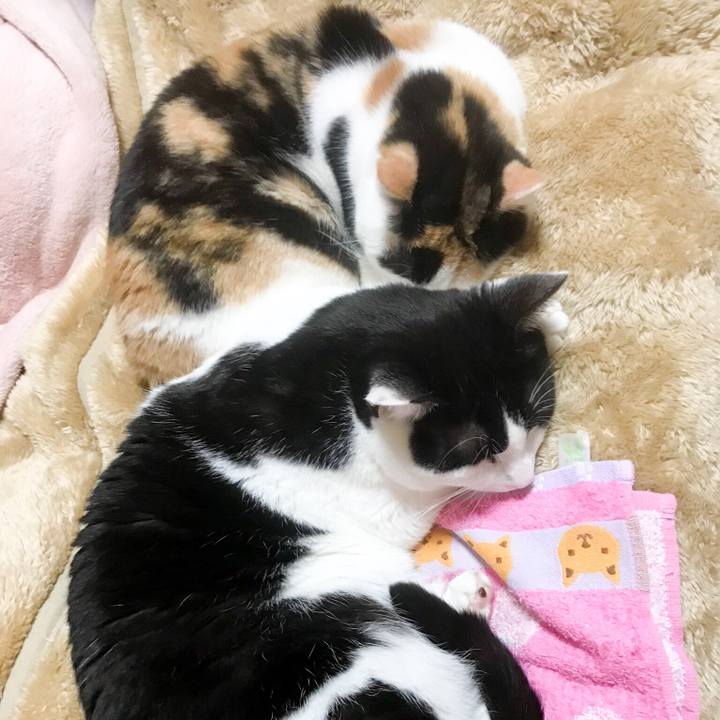 35c52750 6e1d 4879 867c c880adf0c12d 1522159942985