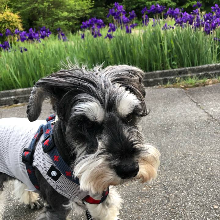 35c5407a 9ede 45f9 a639 ff1cd58396e1 1652015133177