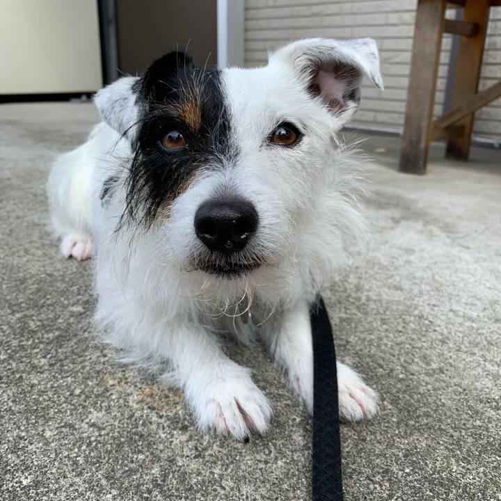 35c5a942 a4b3 47e3 8bb3 f8250bd64186 1591920468166