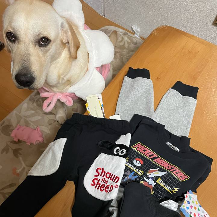 35c5bfd9 9911 4285 aa38 426ef453440f 1634550477322