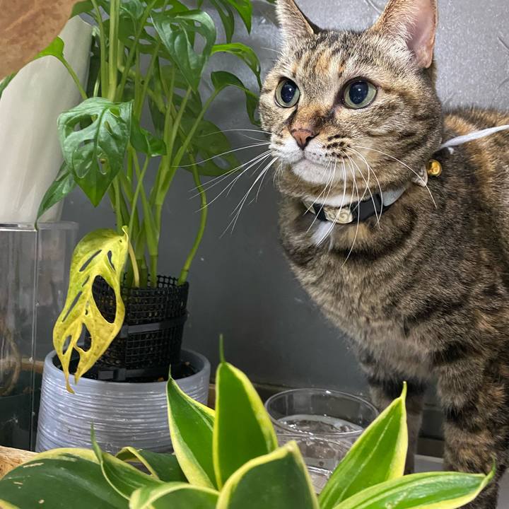 35c5ebec fc76 4396 bae8 73902583fe91 1710685416292