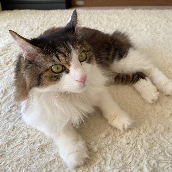 35c64f91 8ec3 49e4 b0bb d3bae026957d 1736572998243