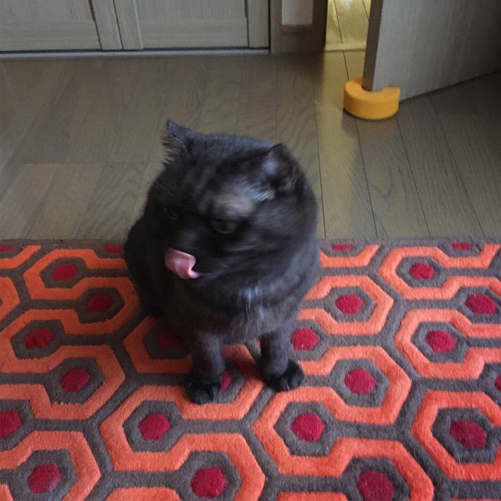 35c67259 f872 45bf 86bb 06f32389f0b2 1566001504990