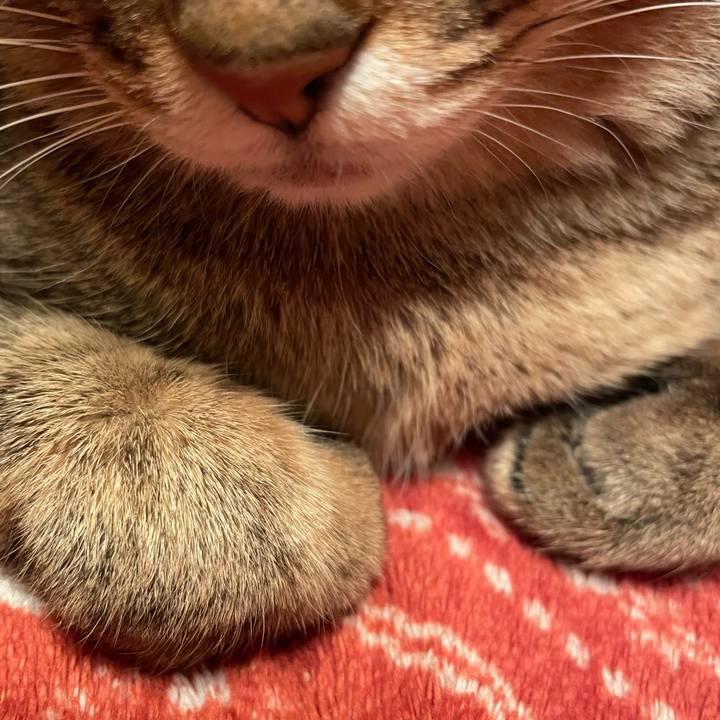 35c67b5c 7173 4dda a3f7 a75e564b5e14 1669710504193