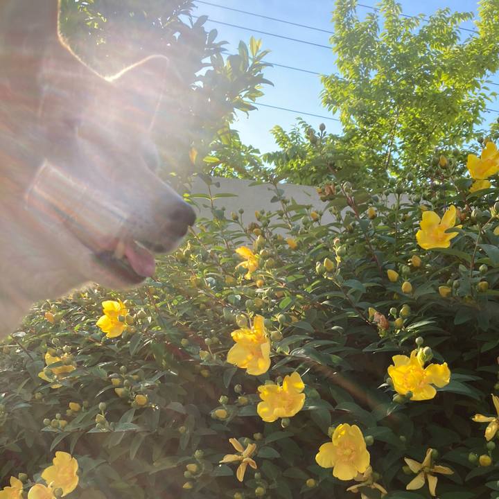 35c72397 22e4 4b62 9403 b44d4c43dfbe 1653383041782