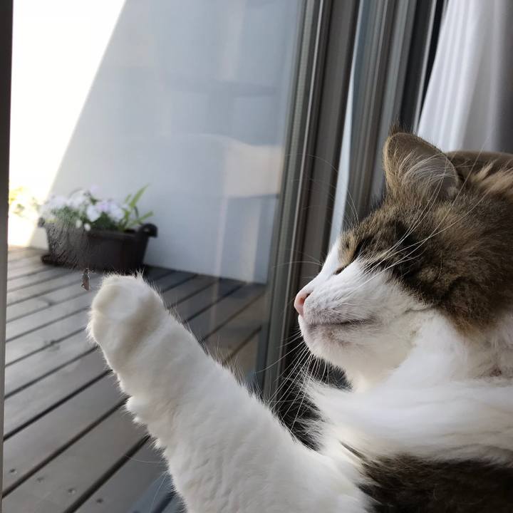 35c7a59d e8f9 4d57 9a7b 0b9b16b6b0ec 1524367875044