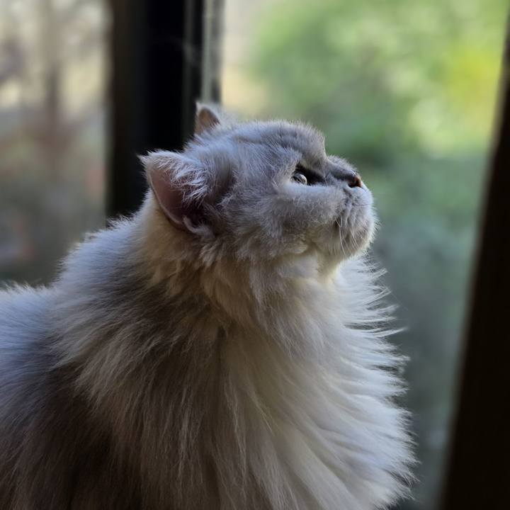 35c83014 3524 4d60 8de1 356b4ddea917 1762145969335