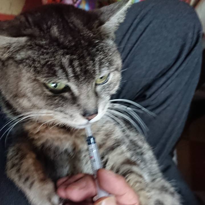 35c8343a f3de 40fa a430 f4806ab3314c 1585259357409