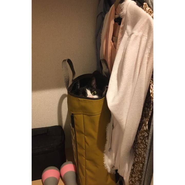 35c834e7 7eee 4b81 b0fe 9f5fe0a43776 1590149279217