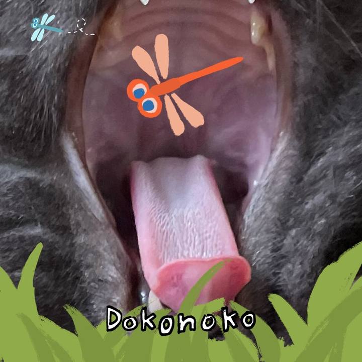 35c8655f 9e0e 48fb 99d7 50197c998517 1726829478845