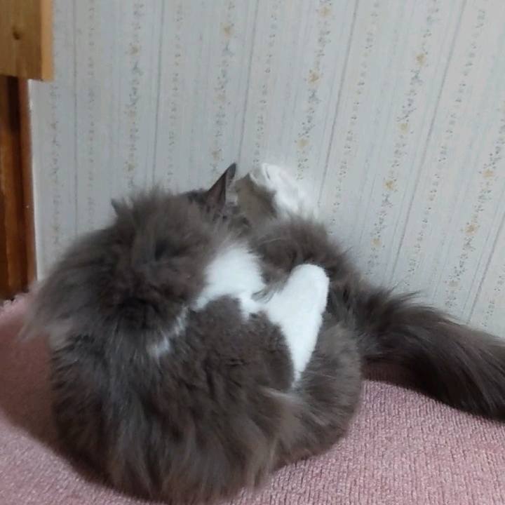 35c89cbe d376 4afb a039 d6dc9cc03aef 1654056264664