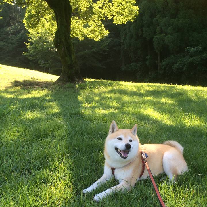 35c8b2ca 8713 4fe0 91cc 3cd44c9a1c04 1763963816457