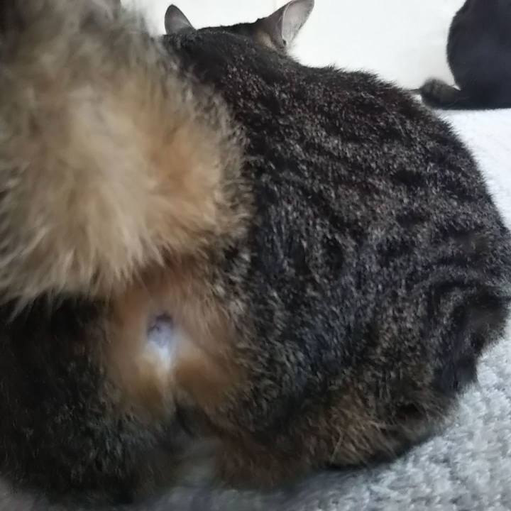 35c8be74 0105 456c 8831 80d209aafeea 1618387218343