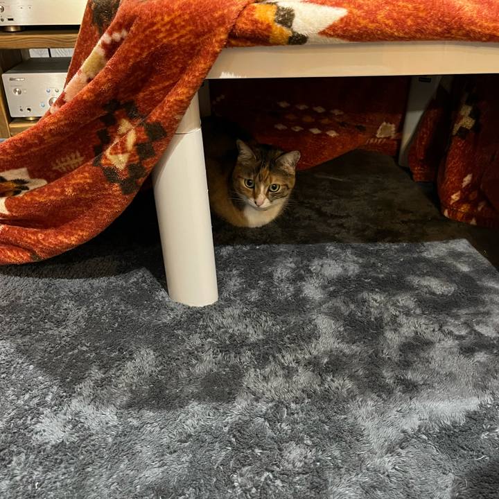 35c8dcb3 9671 4586 9f39 b1be81376d1e 1640095994027