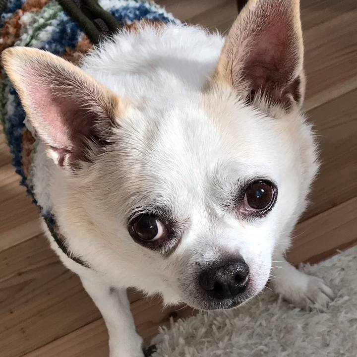 35c8ec34 7664 427d 961a 3d297fec7ec6 1580996644221