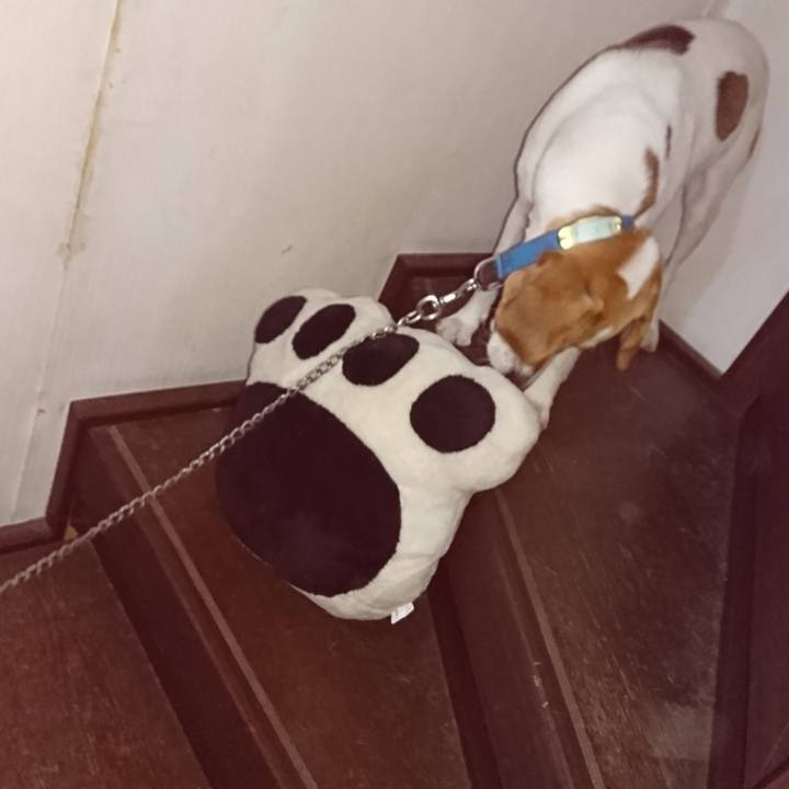 35c93cf5 d8f1 4cd1 8e2e 8f0f6ca2a9c1 1564143320207