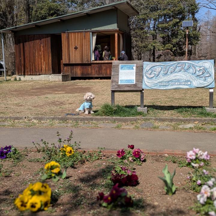 35c961e5 a250 4878 a33c f6461fc87554 1774098077409