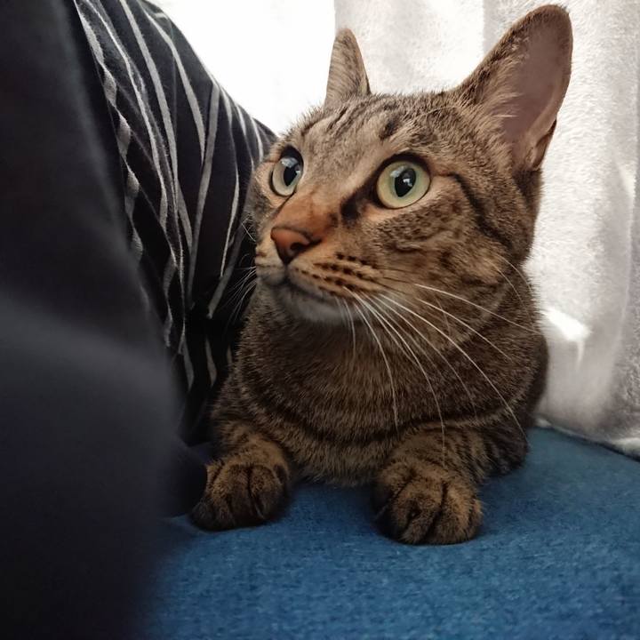 35c9639a fac1 4ade 87bc 29fd0361e559 1538629626836