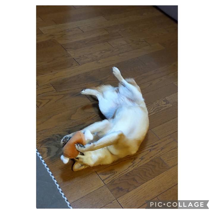 35c97e61 e684 44fa 825f 0ebd8cda980a 1703977586099