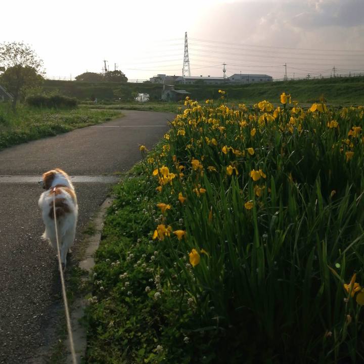 35c9bd82 bb50 4e92 956c d4a31616049c 1620551561823