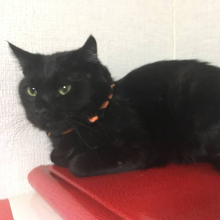 35c9bfc8 d710 4ae2 b013 9c649273f663 1538230904586